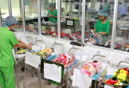 Día Mundial de la Población: Vietnam logra avances en igualdad de género  - ảnh 1