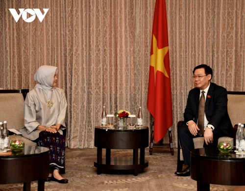 Presidente del Parlamento vietnamita se reúne con el jefe del Comité de Auditoría de Indonesia - ảnh 1