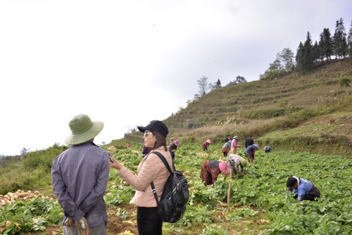 VOV contribuye a llevar voces de los ciudadanos a la Asamblea Nacional - ảnh 2