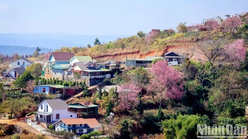 Ciudad de Da Lat es seleccionada como uno de los nueve destinos turísticos naturales más populares en Asia - ảnh 1