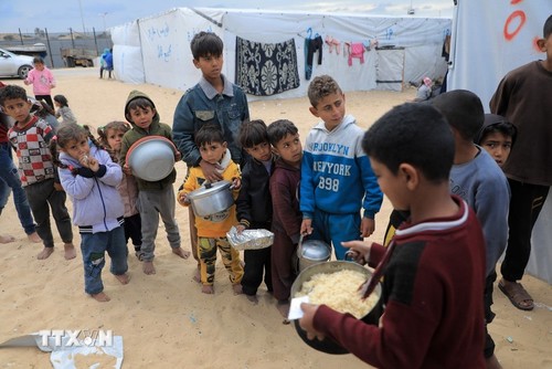 ONU alerta de desperdicio de mil millones de toneladas de alimentos ​en 2022 - ảnh 1