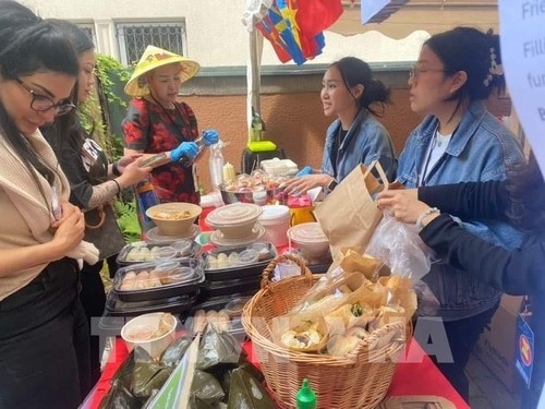 Colores de la cultura vietnamita en la Feria de Comercio y Gastronomía de la ASEAN 2024 en Suecia - ảnh 1