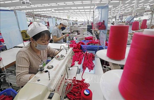 Empresas europeas ponen expectativas en política de mantener crecimiento de Vietnam   - ảnh 1