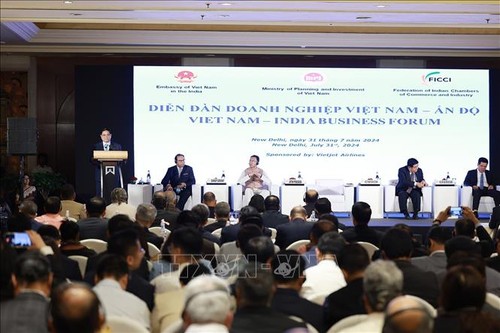 Pham Minh Chinh destaca factores para promover relaciones comerciales y de inversión con la India - ảnh 1