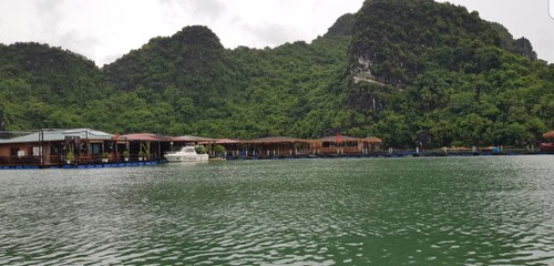 Aldea pesquera de Vung Vieng, un destino imprescindible en el viaje por explorar la Bahía de Ha Long - ảnh 3