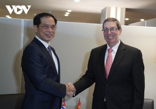 ​Vicepremier y canciller de Vietnam realiza encuentros bilaterales en Nueva York - ảnh 1