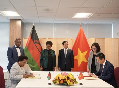 Hito histórico en las relaciones entre Vietnam y Malawi - ảnh 1