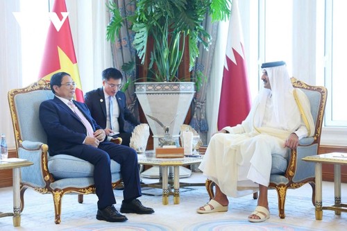 Premier vietnamita se reúne con líderes qataríes - ảnh 1