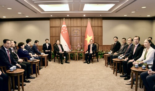 Presidentes del Legislativo de Vietnam y Singapur dialogan sobre los lazos binacionales - ảnh 1