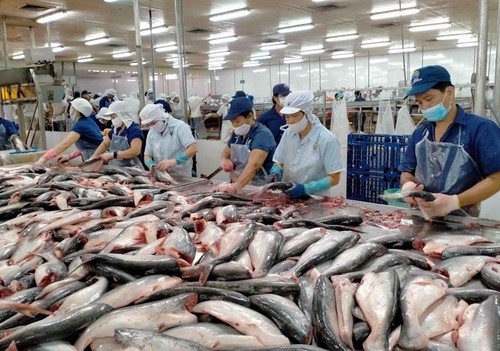 Exportaciones de productos del mar de Vietnam pueden alcanzar 10 mil millones de dólares en 2024 - ảnh 1