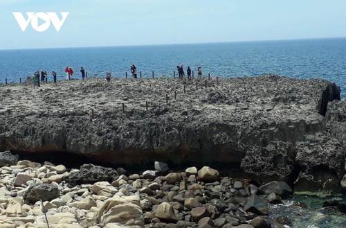 Ninh Thuan: crecimiento integral tras cuatro años de aplicar la Resolución del XIV Congreso provincial del Partido - ảnh 2