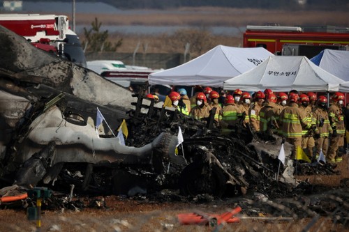 Accidente aéreo en Corea del Sur: Casi todos los pasajeros y tripulantes murieron - ảnh 1