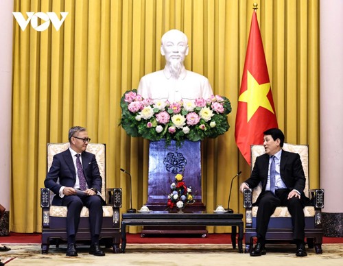 Altos dirigentes vietnamitas se reúnen con canciller laosiano - ảnh 2