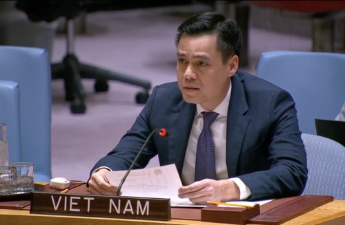 Vietnam comprometido con el multilateralismo - ảnh 1