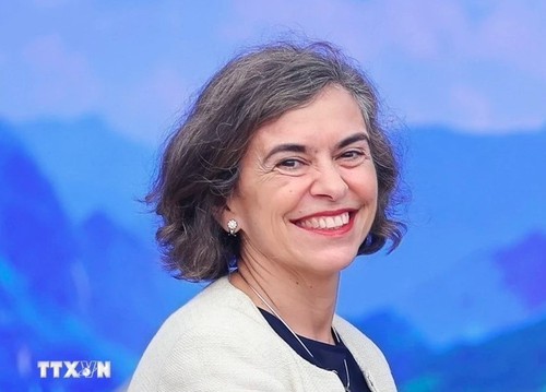 Un nuevo hito en las relaciones de asociación estratégica Vietnam-España - ảnh 1