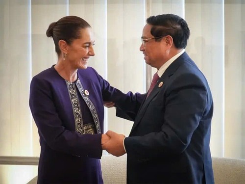México y Vietnam: Construyendo el futuro - ảnh 4