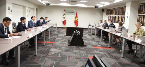 Cooperación económico-comercial entre Vietnam y México: potencialidades y perspectivas - ảnh 3