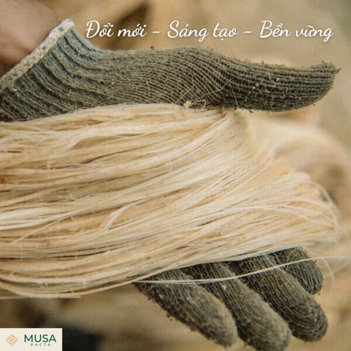 Nuevas empresas vietnamitas se unen a la meta gubernamental de alcanzar el “residuo cero”  - ảnh 5