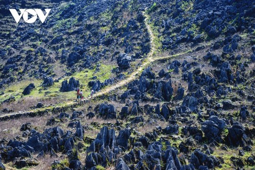 Vietnam galardonado en los World Travel Awards - ảnh 1