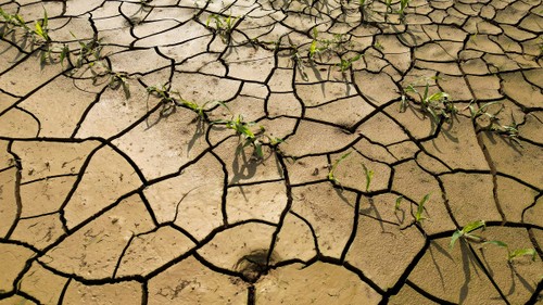 La ONU insta a combatir la desinformación sobre el cambio climático - ảnh 1