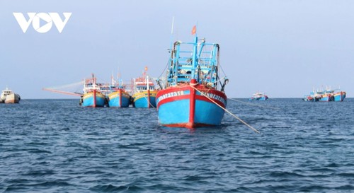 Primer Ministro vietnamita pide acción drástica para acabar con la pesca ilegal - ảnh 1