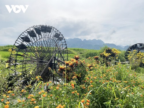 Hoa Tien: sitio destacado de turismo comunitario en el oeste de la provincia de Nghe An - ảnh 2