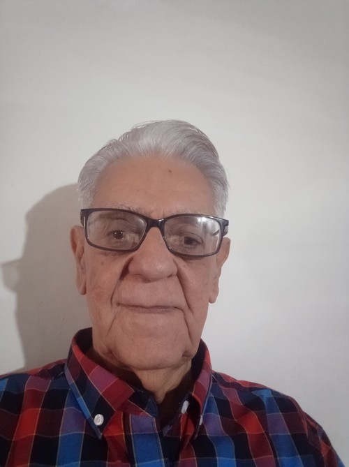 Periodistas cubanos: Partido Comunista de Vietnam dirigirá con éxito la implementación de objetivos nacionales - ảnh 1