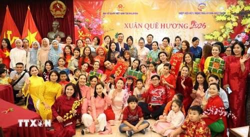 El Tet vietnamita y el proceso de integración cultural en la nueva era - ảnh 7