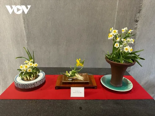 Coleccionar flores por el Tet: una tradición refinada de los hanoyenses - ảnh 2