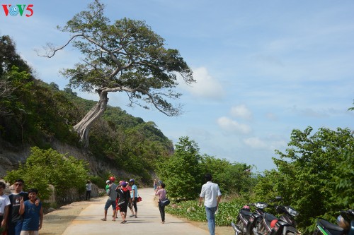 Đến Nam Du, quên lối về - ảnh 5