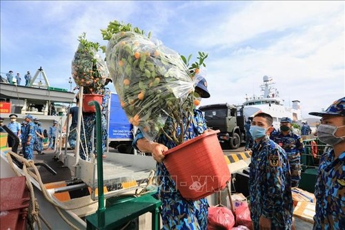 Des cadeaux du Têt en direction de Truong Sa - ảnh 1