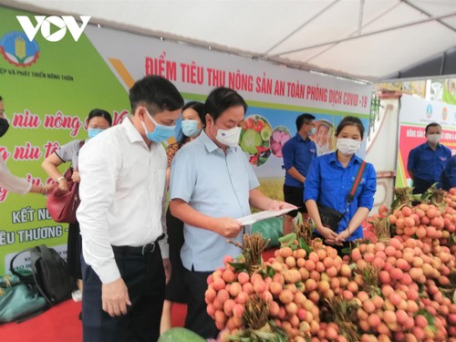 Mise en service du premier point d’aide à l’écoulement des produits agricoles pendant la pandémie - ảnh 1