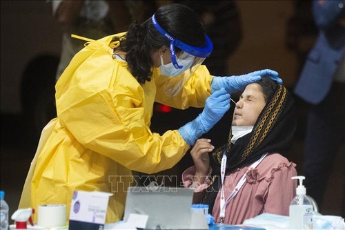 Covid-19: Plus de 233 millions de cas dans le monde - ảnh 1