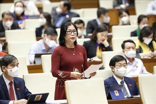 Assemblée nationale: Mobiliser toutes les ressources pour le développement - ảnh 2