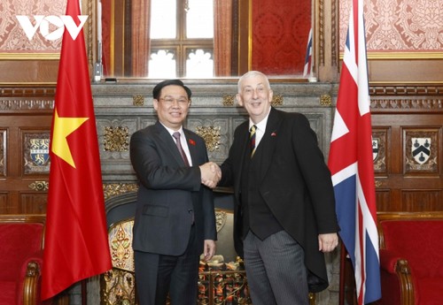 Vuong Dinh Huê s’entretient avec Lindsay Hoyle - ảnh 1