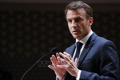 Emmanuel Macron effectuera une visite d’État en Allemagne début juillet - ảnh 1