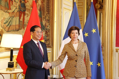 Le chef de la diplomatie vietnamienne en visite en France - ảnh 1