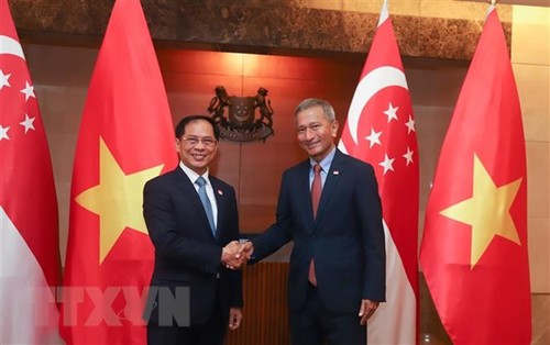 Entretien Bùi Thanh Son – Vivian Balakrishnan - ảnh 1