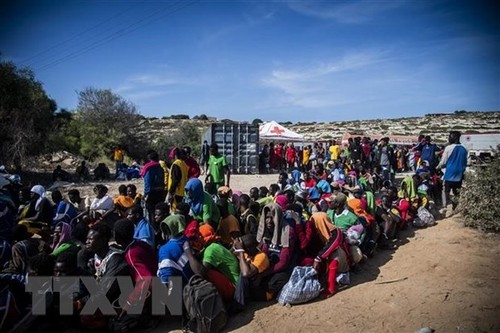 L’UE dévoile son plan d’action pour aider l’Italie débordée par la question migratoire - ảnh 1