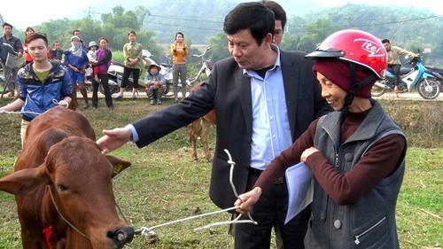 Hanoi œuvre pour le bien-être social et la réduction de la pauvreté    - ảnh 1