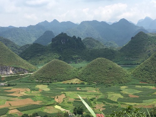 Le plateau calcaire de Dông Van: Joyau touristique incontournable de Hà Giang - ảnh 1