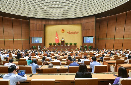 Débat sur l'expropriation des terrains pour la construction de l'aéroport de Long Thành - ảnh 1