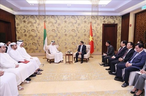 Pham Minh Chinh reçoit Thani bin Ahmed Al Zeyoudi - ảnh 1