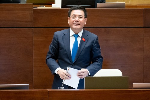 Assemblée nationale: Les députés interrogent le ministre de l'Industrie et du Commerce - ảnh 2