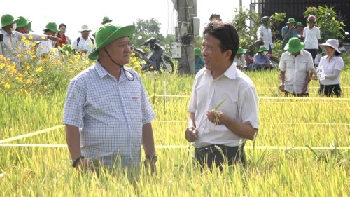 Châu Minh Hai, un modèle d’homme d’affaires à Tiên Giang    - ảnh 1