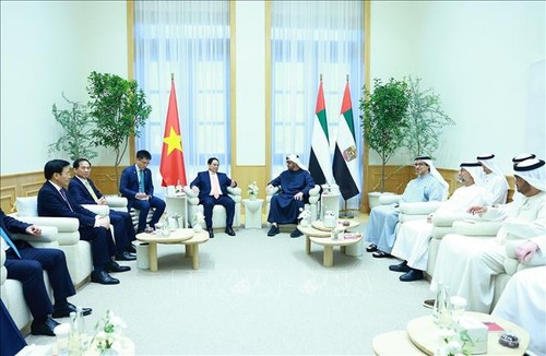 Déclaration conjointe Vietnam-Emirats Arabes Unis sur le partenariat intégral - ảnh 1