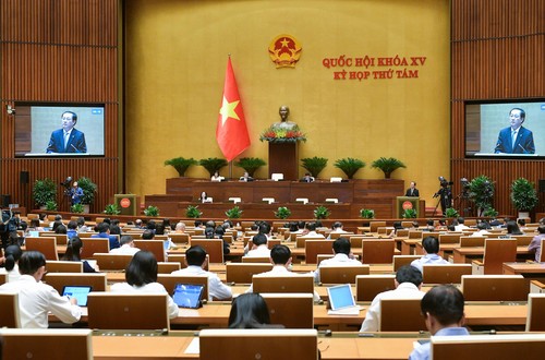 Assemblée nationale: dernière semaine de la huitième session - ảnh 1