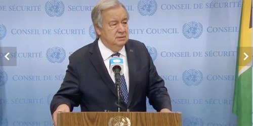 L’ONU appelle à concrétiser la solution à deux États - ảnh 1