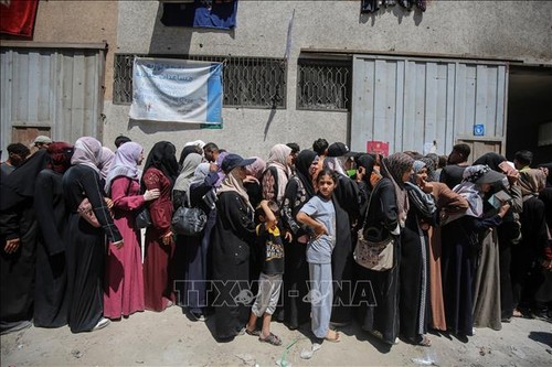 Gaza: un navire humanitaire européen en route malgré le blocus israélien - ảnh 1