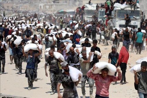 Plus de 100 pays adoptent une feuille de route pour la paix à Gaza - ảnh 1